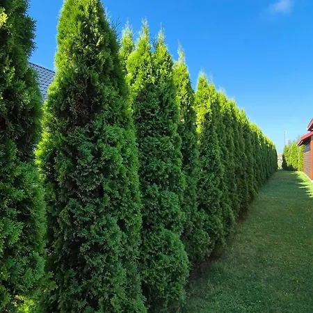 Holiday home Nowe 5 Rusinowo (Slawno)